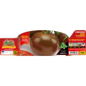   Solanum lycopersicum "Plutone F1" - Paradicsom palánta (6-os pakk)