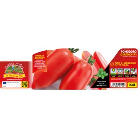   Solanum lycopersicum "San Marzano Cirano" - Paradicsom palánta (6-os pakk)