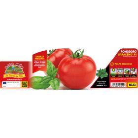   Solanum lycopersicum "Saraceno" - Paradicsom palánta (6-os pakk)