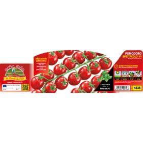   Solanum lycopersicum "Spettacolo" - Paradicsom palánta (6-os pakk)