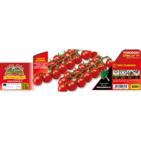   Solanum lycopersicum "Strillo F1" - Paradicsom palánta (6-os pakk)