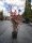 Photinia x fraseri - ‘Compacta’ - Korallberkenye
