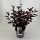Physocarpus opulifolius 'All Black' - Hólyagvessző