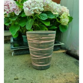 Rózsaszín csíkos kaspó (7cm)