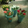 Rosa mix - Rózsa