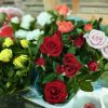 Rosa mix - Rózsa