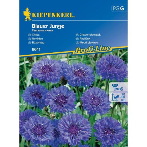 Centaurea cyanus - Búzavirág 60 szem