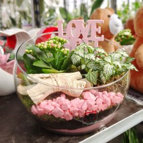 Üvegtál florárium 