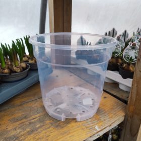 TOP orchidea cserép  (21cm)