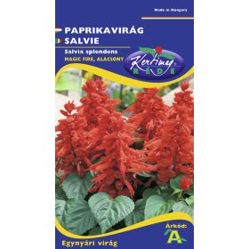   Vetőmag - Egynyári Paprikavirág 'magic fire' - Salvia splendens (0,5g)