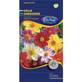   Vetőmag - Dália 'Mignon' színkeverék - Dahlia variabilis (1g)