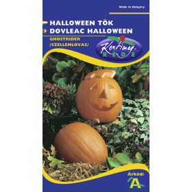 Vetőmag - Dísztök Halloween tök (2g)
