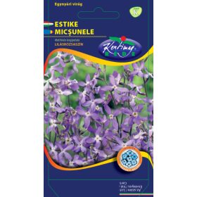 Vetőmag - Egynyári Estike - Matthiola longipetala (0,5g)