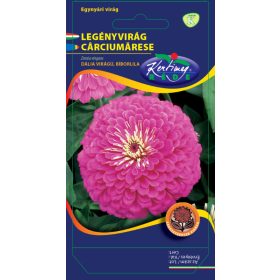   Vetőmag - Egynyári Legényvirág bíborlila - Zinnia elegans (2g)