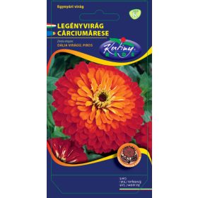   Vetőmag - Egynyári Legényvirág piros - Zinnia elegans (2g)