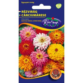   Vetőmag - Egynyári Legényvirág színkeverék kaktusz virágú - Zinnia elegans (1g)