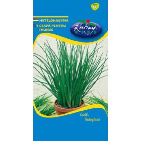 Vetőmag - Metélőhagyma "Bohemia" (2g)