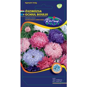   Vetőmag - Peonia virágú őszirózsa színkeverék - Callistephus (1g)