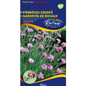   Vetőmag - Pünkösdi szegfű színkeverék - Dianthus gratianopolitanus (0,25g)