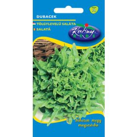 Vetőmag - Tölgylevelű saláta 'Dubacek' (1g)