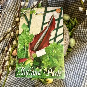   Dracunculus vulgaris - Sárkánykontyvirág virághagyma 1db/csomag