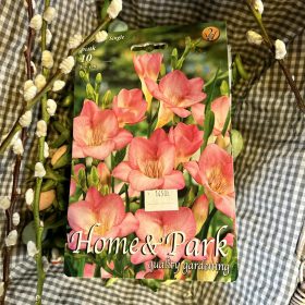 Freesia single pink - Frézi virághagyma 10db/csomag