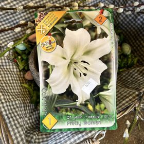   Lilium / treelily 'Pretty woman' - Liliom hagyma 1db/csomag