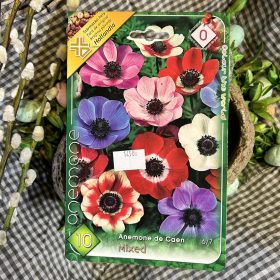  Anemone de Caen mix - Koronás szellőrózsa hagyma 10db/csomag