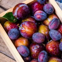 Befőzni való gyümöcsfák