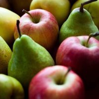 Csemege gyümölcsfák