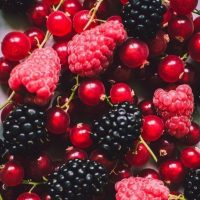 Klasszikus bogyósok