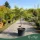 Acer palmatum 'Dissectum Viridis' - Zöld levelű japán juhar, 130-140 cm,  40 literes cserépben