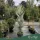 Cupressus arizonica - Arizonai ciprus, 150-170 cm magas, 18 literes cserépben