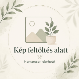   Betula pendula 'Gracilis' - Csüngő nyír 130 cm, 3 literes cserépben