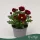 Chrysanthemum indicum 'Classic' - krizantém - bordó - 22 cm - 9 cm-es cserépben