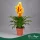 Vriesea 'Intenso Yellow Flame' - Vrízea - sárga - 45 cm magas - 12 cm-es cserépben