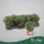Chrysanthemum indicum (Mix) - Krizantém - vegyes - 22 cm magas - 9 cm-es cserépben