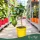 Citrus medica - Cédrátcitrom - mini törzses - 22 cm-es cserépben