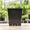  ÚJ IPP Négyzet alakú fekete cserép (11 L, 25x25 cm) 