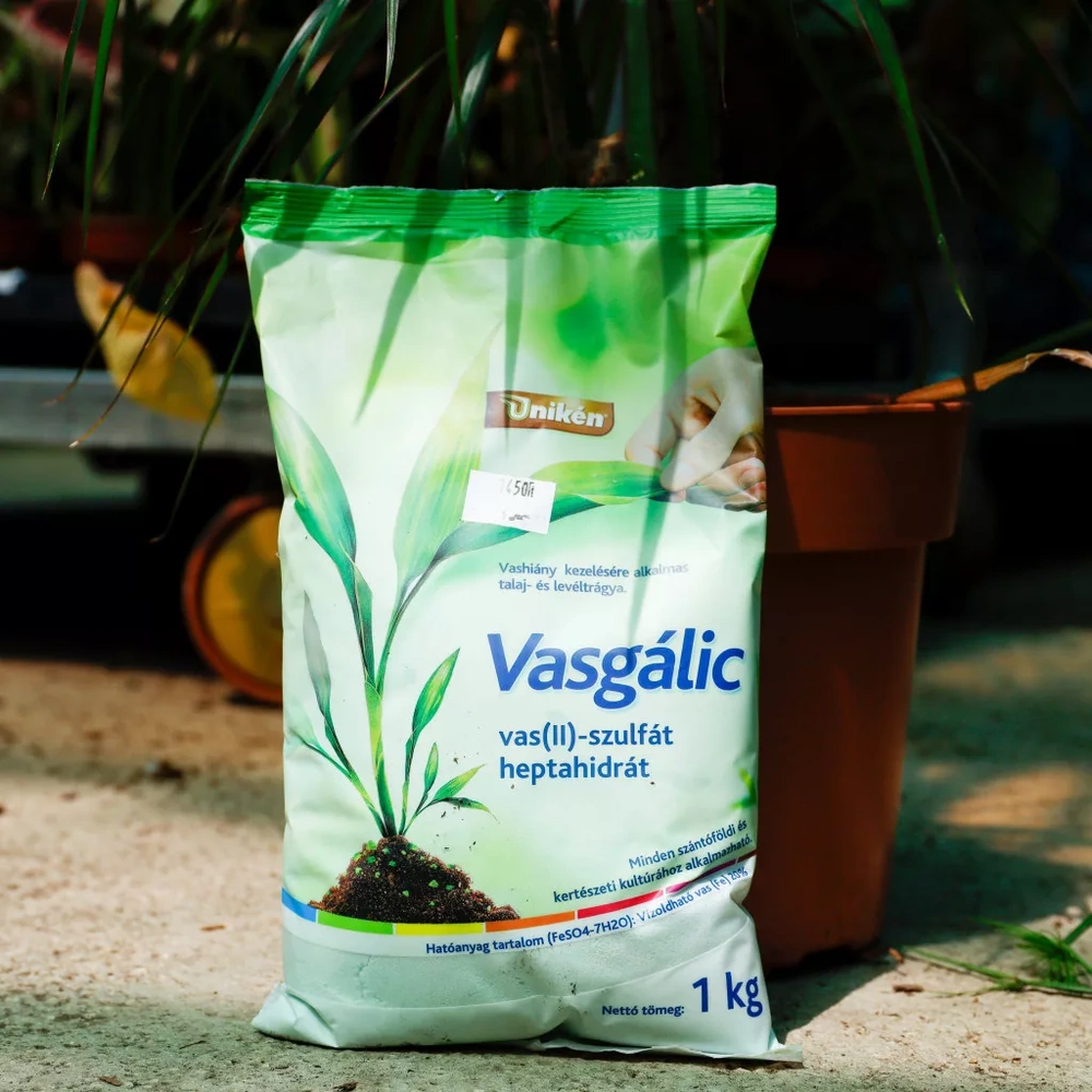 Sárgulnak a levelek: keserűsó vagy vasgálic?
